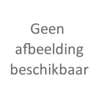 R5 E-Tech